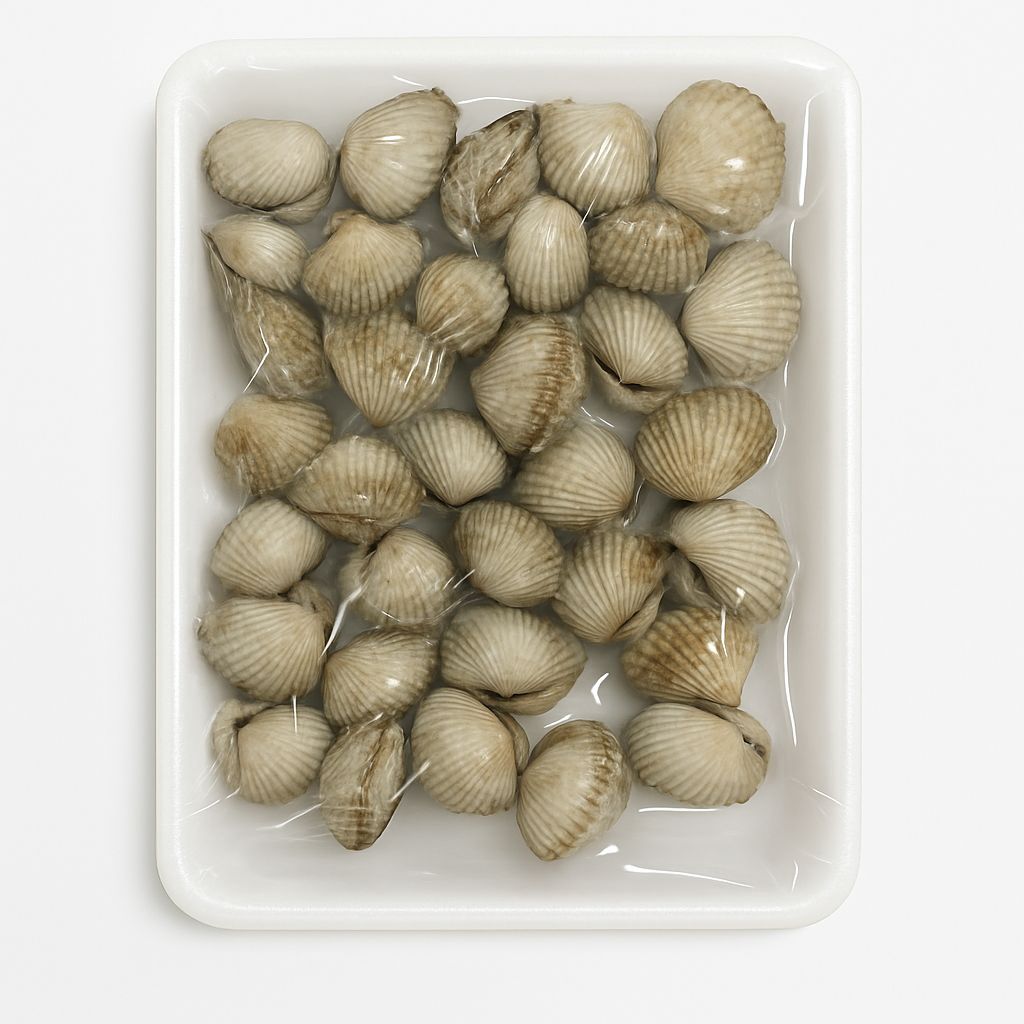 Cooked Cockle Clam Whole